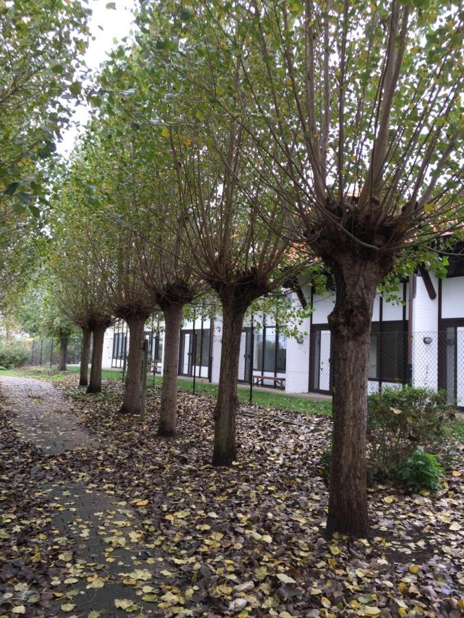 Vakantiewoning Kaviaar ミデルケルケ エクステリア 写真